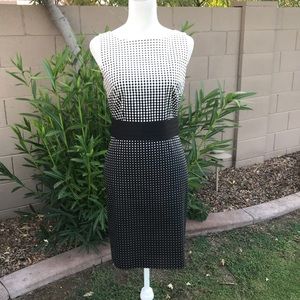 Ann Taylor Black & White Professional Dress